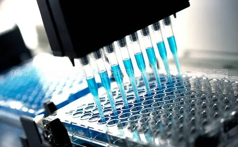 头号玩家唯一官网入口