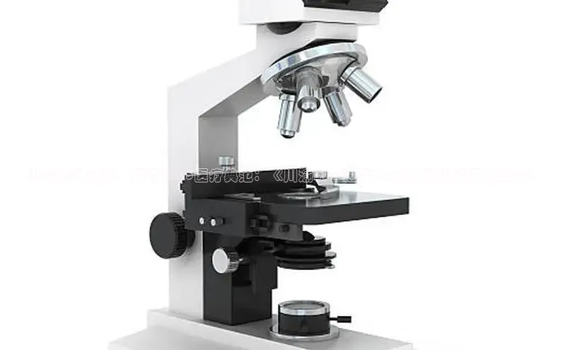 龙八国际唯一官网